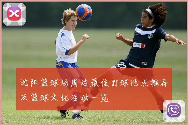 沈阳篮球场周边最佳打球地点推荐及篮球文化活动一览