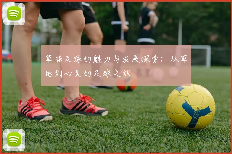 草花足球的魅力与发展探索：从草地到心灵的足球之旅
